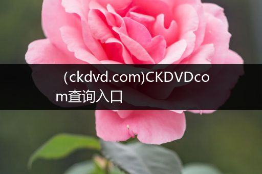 (ckdvd.com)CKDVDcom查询入口