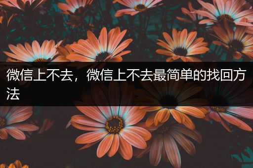 微信上不去,微信上不去最简单的找回方法