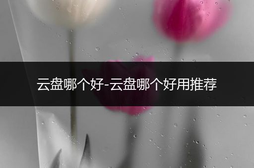 云盘哪个好-云盘哪个好用推荐