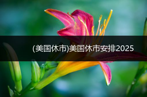 (美国休市)美国休市安排2025