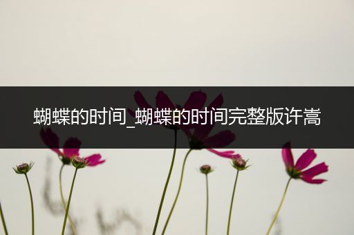 蝴蝶的时间_蝴蝶的时间完整版许嵩