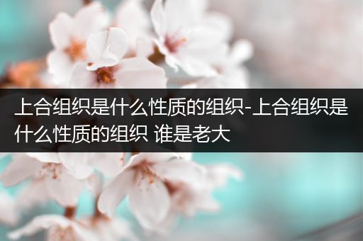 上合组织是什么性质的组织-上合组织是什么性质的组织 谁是老大
