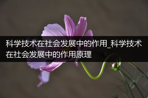 科学技术在社会发展中的作用_科学技术在社会发展中的作用原理