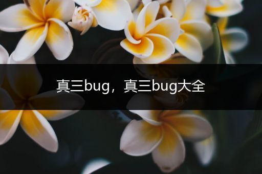 真三bug,真三bug大全