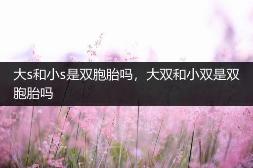 大s和小s是双胞胎吗,大双和小双是双胞胎吗