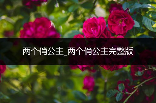 两个俏公主_两个俏公主完整版