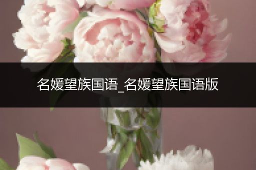 名媛望族国语_名媛望族国语版