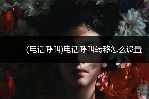 (电话呼叫)电话呼叫转移怎么设置