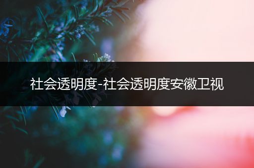 社会透明度-社会透明度安徽卫视