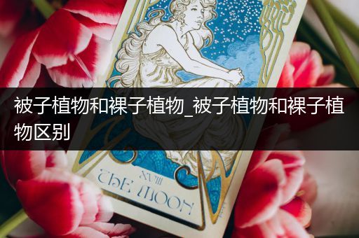 被子植物和裸子植物_被子植物和裸子植物区别