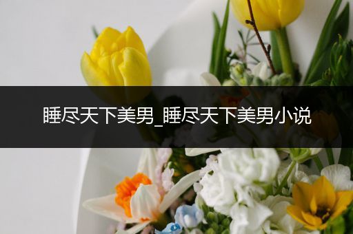 睡尽天下美男_睡尽天下美男小说