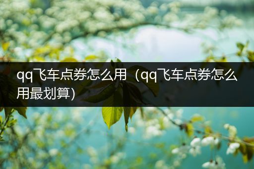 qq飞车点券怎么用(qq飞车点券怎么用最划算)