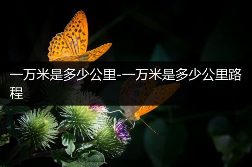 一万米是多少公里-一万米是多少公里路程