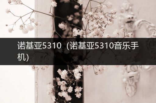 诺基亚5310(诺基亚5310音乐手机)