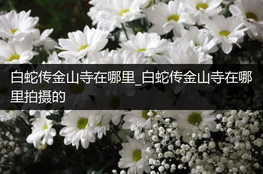 白蛇传金山寺在哪里_白蛇传金山寺在哪里拍摄的