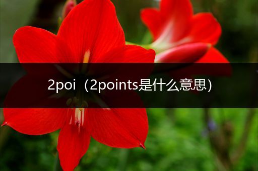 2poi(2points是什么意思)