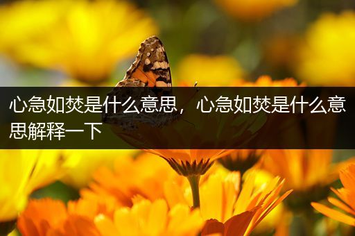 心急如焚是什么意思,心急如焚是什么意思解释一下