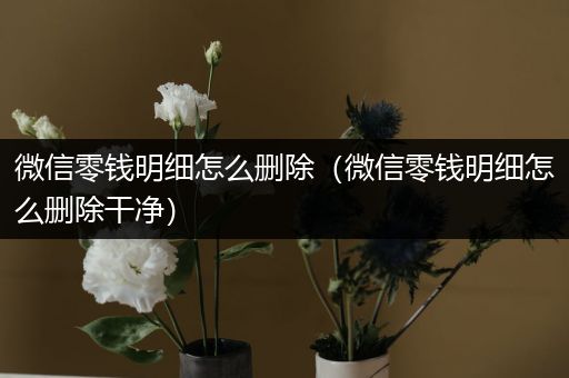 微信零钱明细怎么删除(微信零钱明细怎么删除干净)