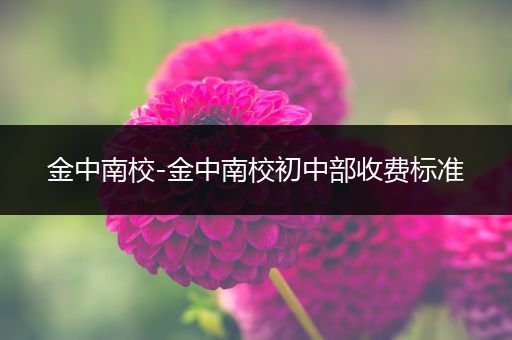 金中南校-金中南校初中部收费标准