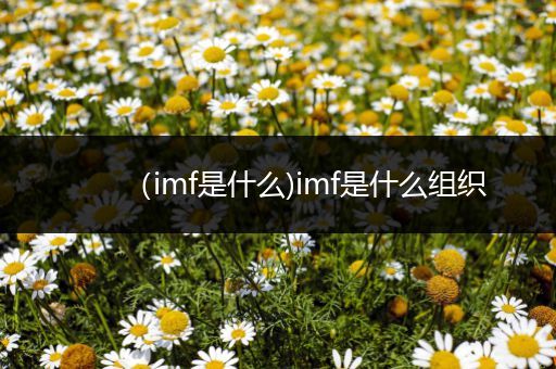 (imf是什么)imf是什么组织