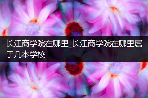 长江商学院在哪里_长江商学院在哪里属于几本学校
