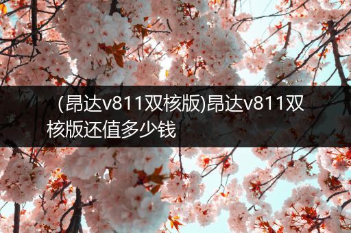 (昂达v811双核版)昂达v811双核版还值多少钱