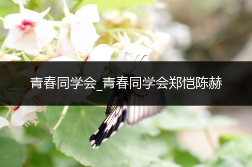青春同学会_青春同学会郑恺陈赫
