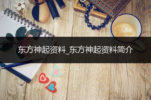 东方神起资料_东方神起资料简介