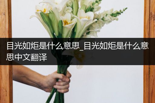 目光如炬是什么意思_目光如炬是什么意思中文翻译