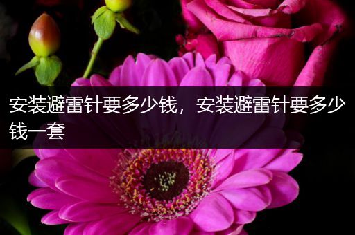 安装避雷针要多少钱,安装避雷针要多少钱一套