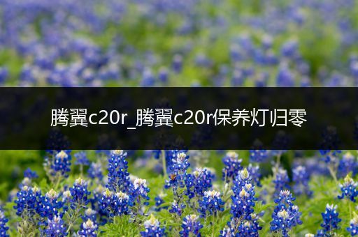 腾翼c20r_腾翼c20r保养灯归零