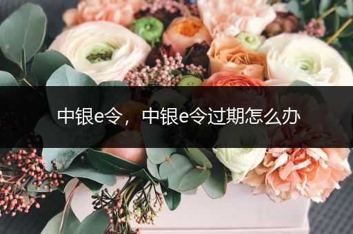 中银e令,中银e令过期怎么办