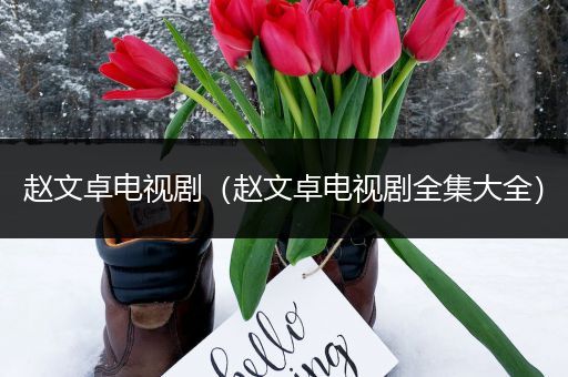 赵文卓电视剧(赵文卓电视剧全集大全)