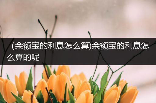 (余额宝的利息怎么算)余额宝的利息怎么算的呢