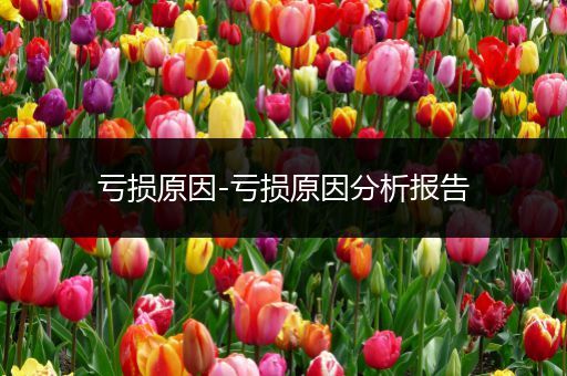 亏损原因-亏损原因分析报告