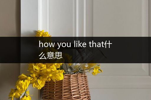 how you like that什么意思