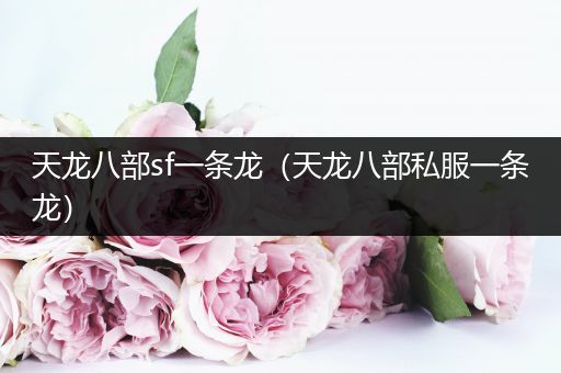 天龙八部sf一条龙(天龙八部私服一条龙)