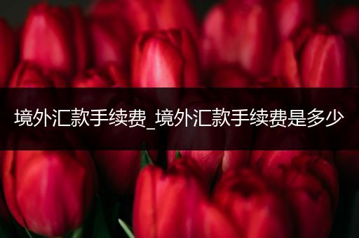 境外汇款手续费_境外汇款手续费是多少