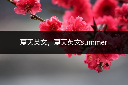 夏天英文,夏天英文summer