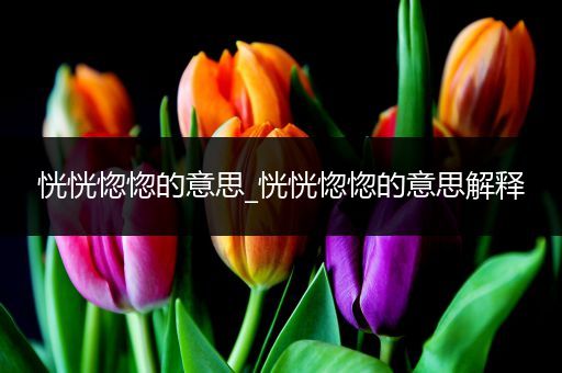 恍恍惚惚的意思_恍恍惚惚的意思解释