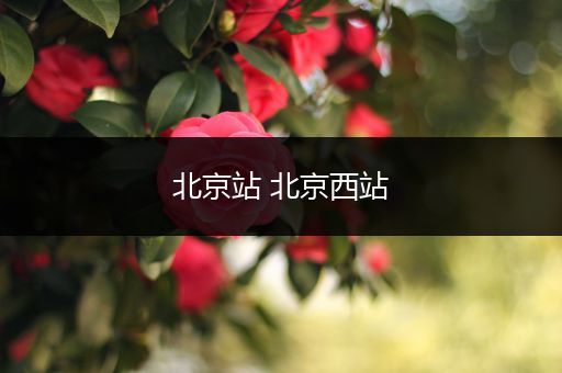 北京站 北京西站