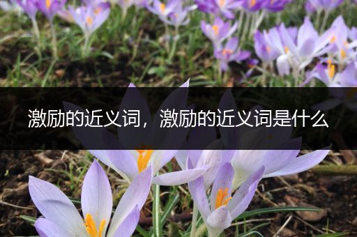 激励的近义词,激励的近义词是什么