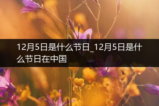 12月5日是什么节日_12月5日是什么节日在中国
