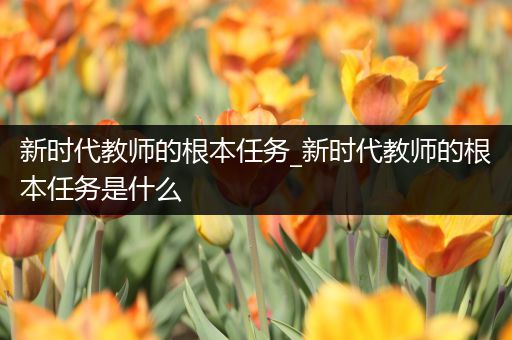 新时代教师的根本任务_新时代教师的根本任务是什么