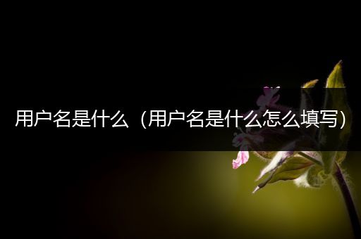 用户名是什么(用户名是什么怎么填写)