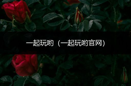 一起玩哟(一起玩哟官网)