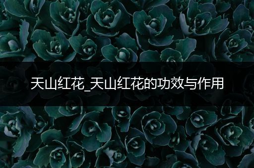 天山红花_天山红花的功效与作用