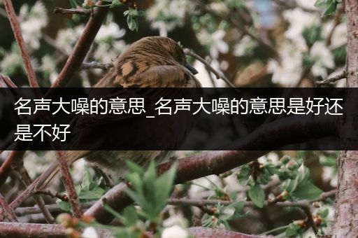 名声大噪的意思_名声大噪的意思是好还是不好