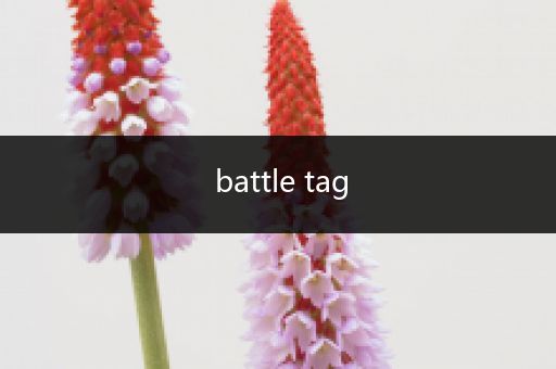 battle tag