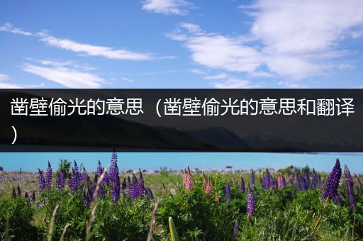 凿壁偷光的意思(凿壁偷光的意思和翻译)